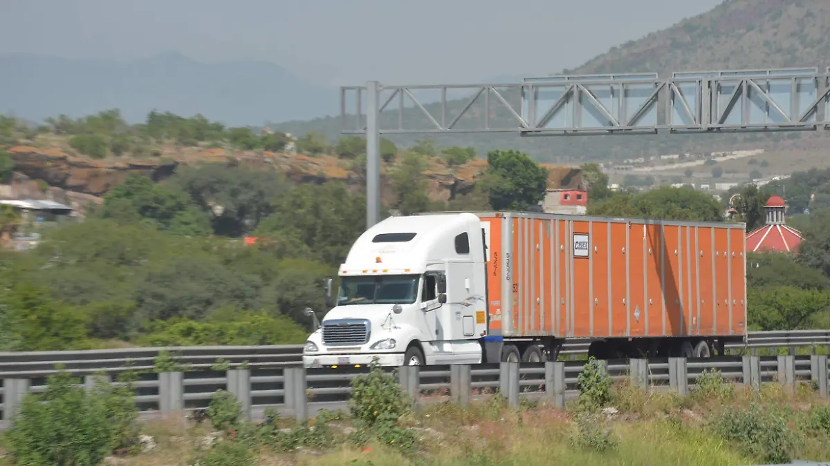 Transportistas de carga pesada pueden transitar con la licencia de conducir sin estar